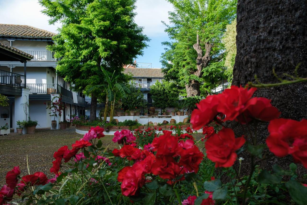 세비야 Vista Corral Del Conde 아파트 외부 사진