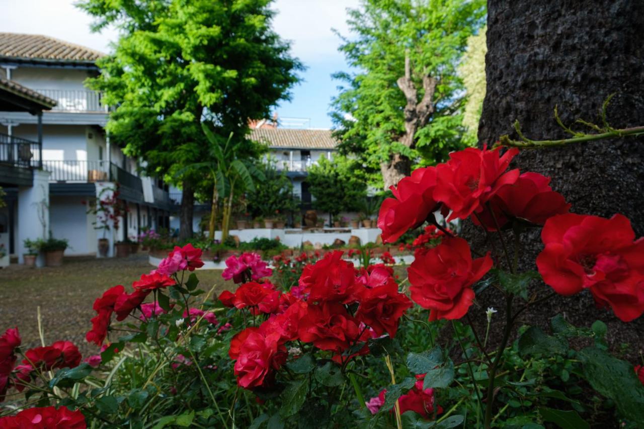 세비야 Vista Corral Del Conde 아파트 외부 사진